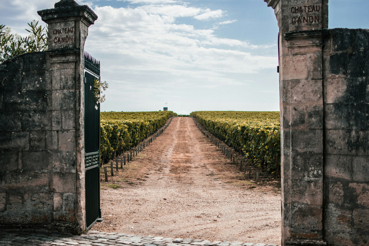 Escapade à Saint-Émilion en VTC : organisation et tarifs depuis Bordeaux