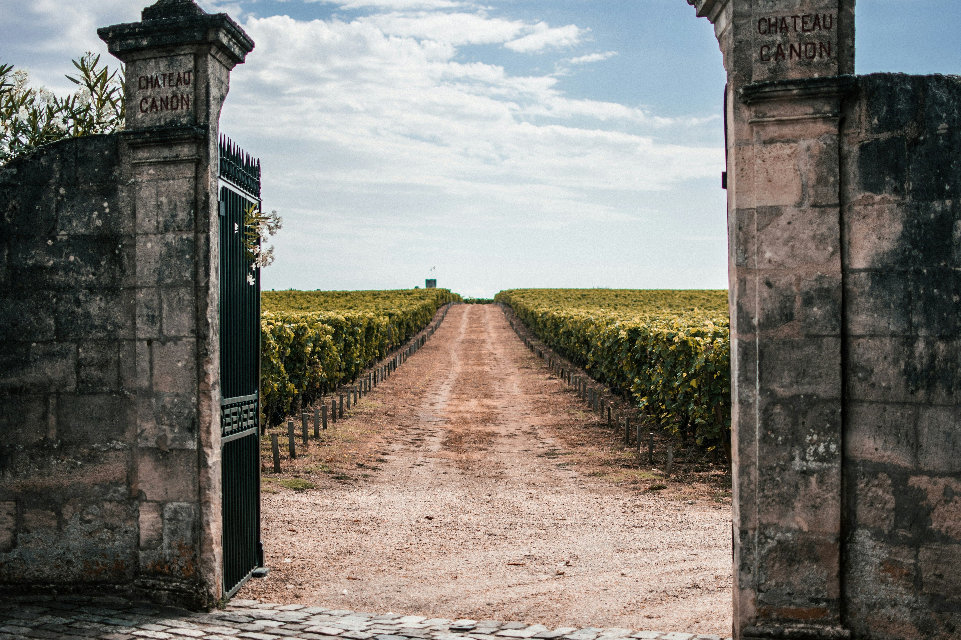 Escapade à Saint-Émilion en VTC : organisation et tarifs depuis Bordeaux