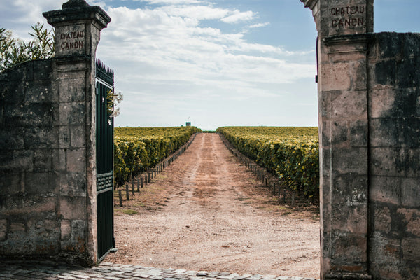 Escapade à Saint-Émilion en VTC : organisation et tarifs depuis Bordeaux