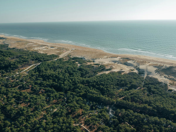 Week-end surf à Lacanau depuis Bordeaux : comment l'organiser en VTC