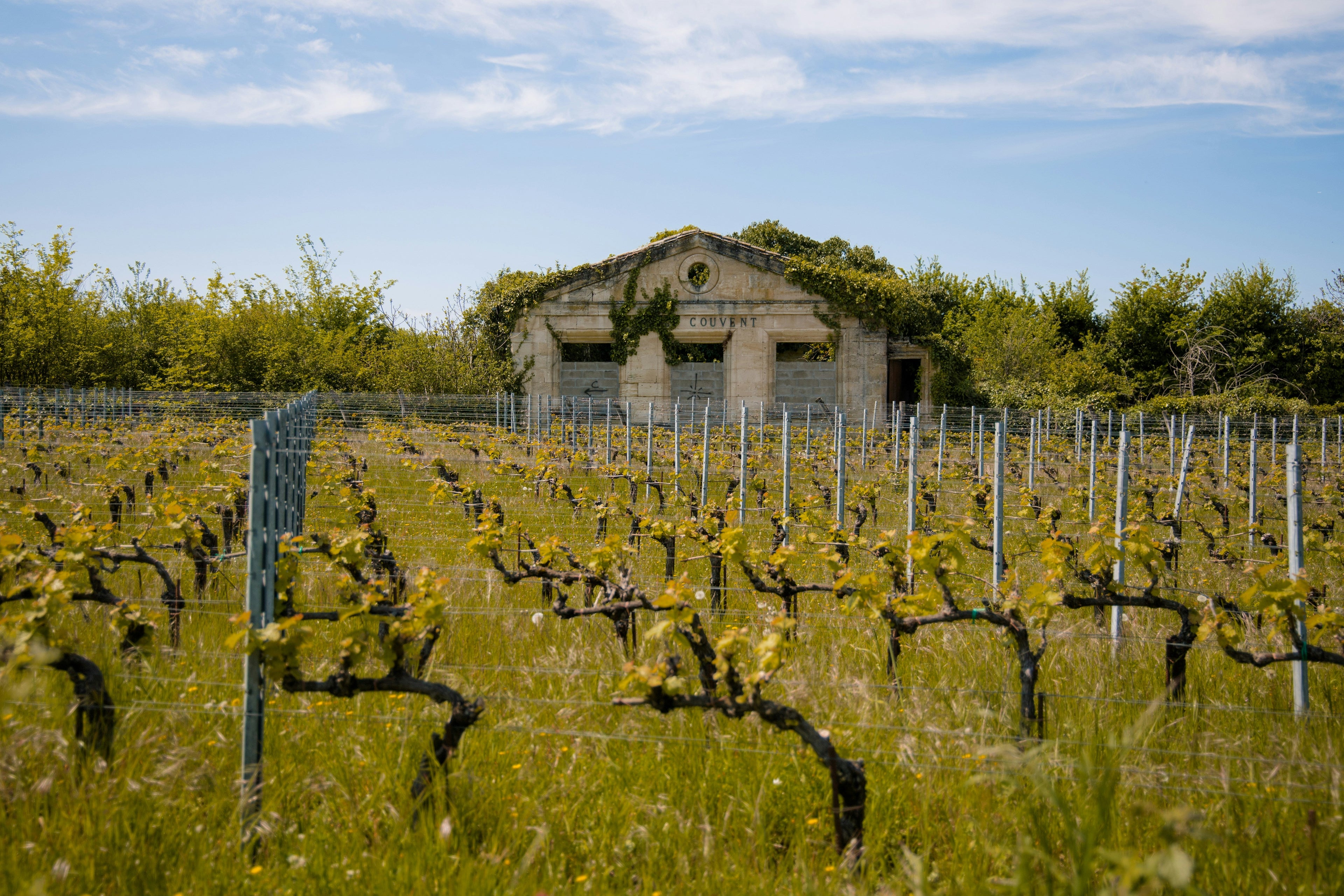 Traveling to Saint-Émilion from Bordeaux: The Ultimate Transport Guide