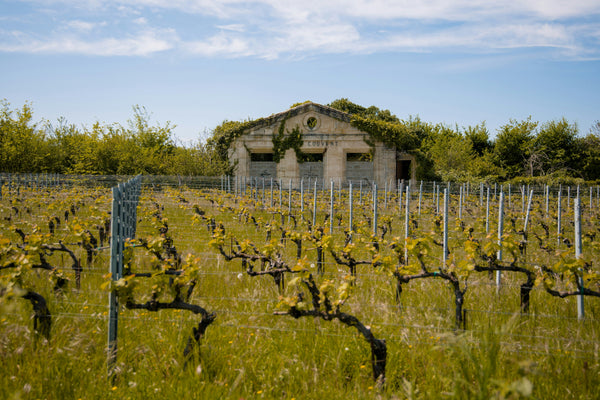 Traveling to Saint-Émilion from Bordeaux: The Ultimate Transport Guide