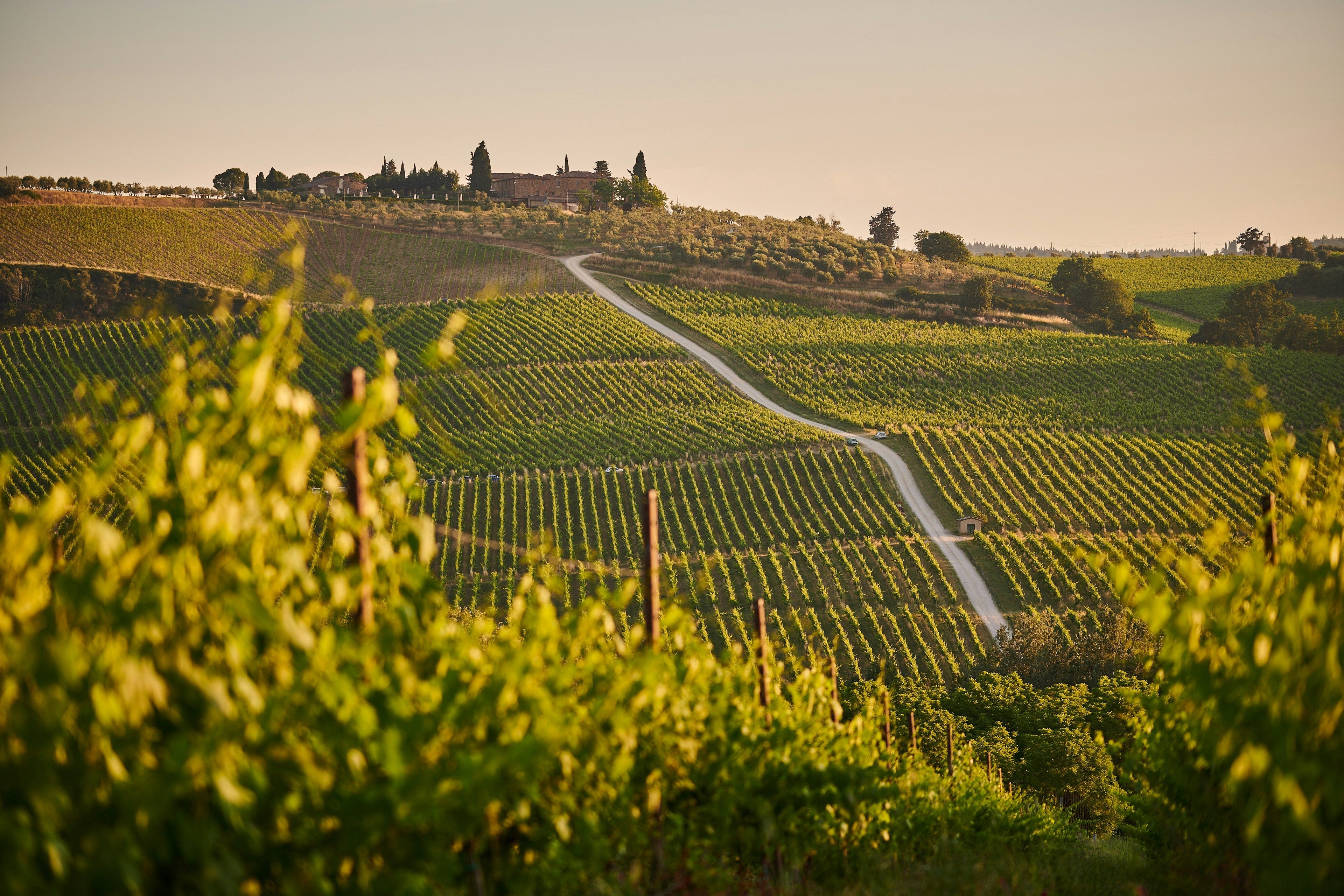 The Ultimate Guest Guide: Seamless Transport from Bordeaux Hotels to the Vineyards
