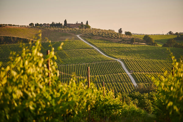 The Ultimate Guest Guide: Seamless Transport from Bordeaux Hotels to the Vineyards