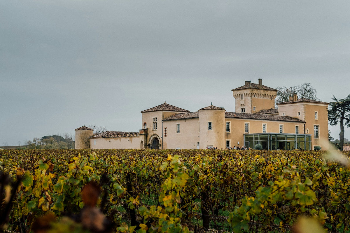 Sauternes wine tour